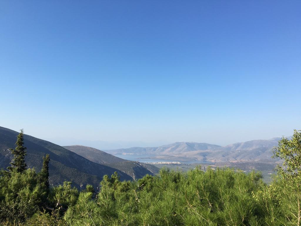 Delphi Palace Bagian luar foto